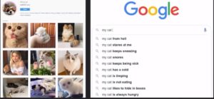 cat social vs search
