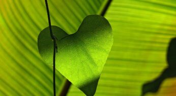 Finding Inner Peace In The Remembrance of Allah