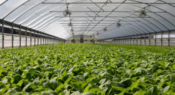 Agrotech Farming as a lucrative Halal Business Social Impact