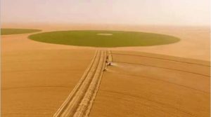 desert farming